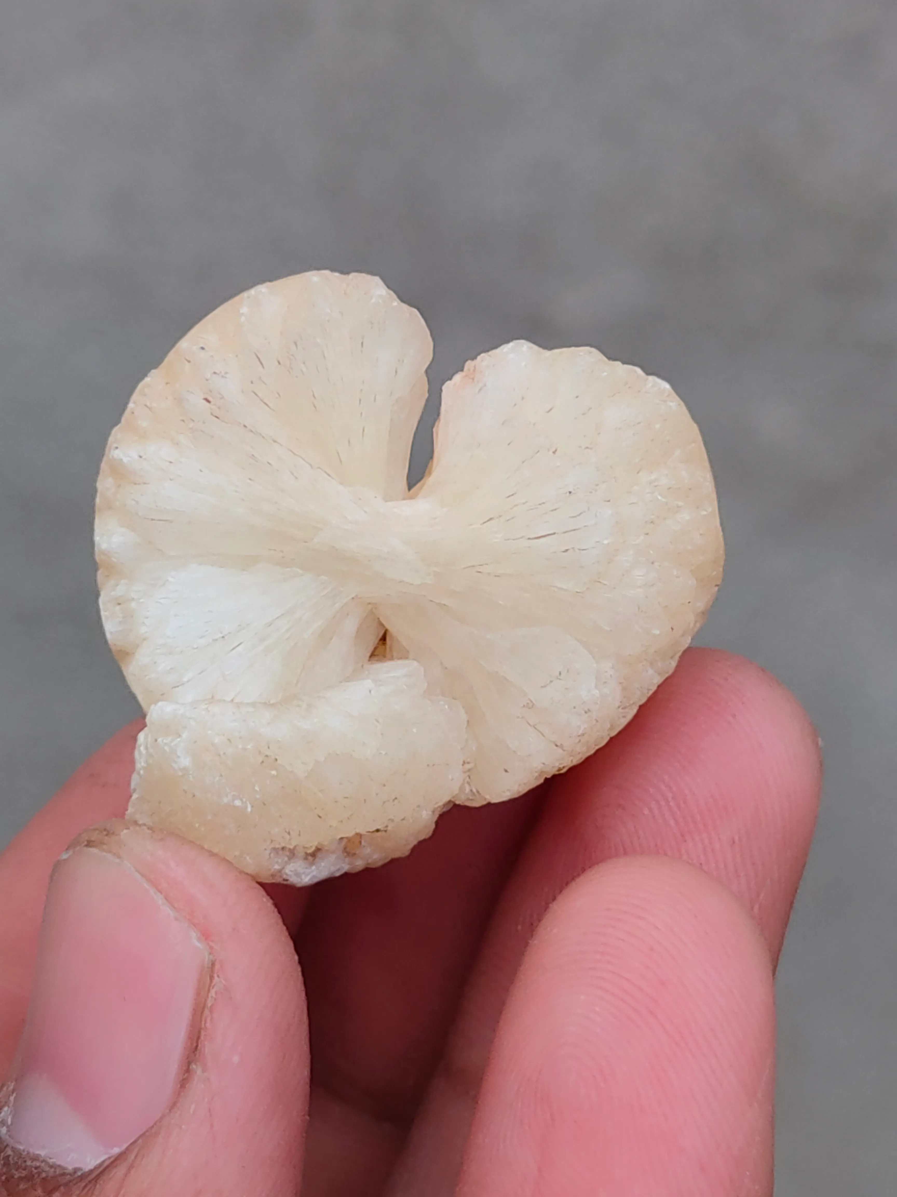 Stilbite Bow - image 3