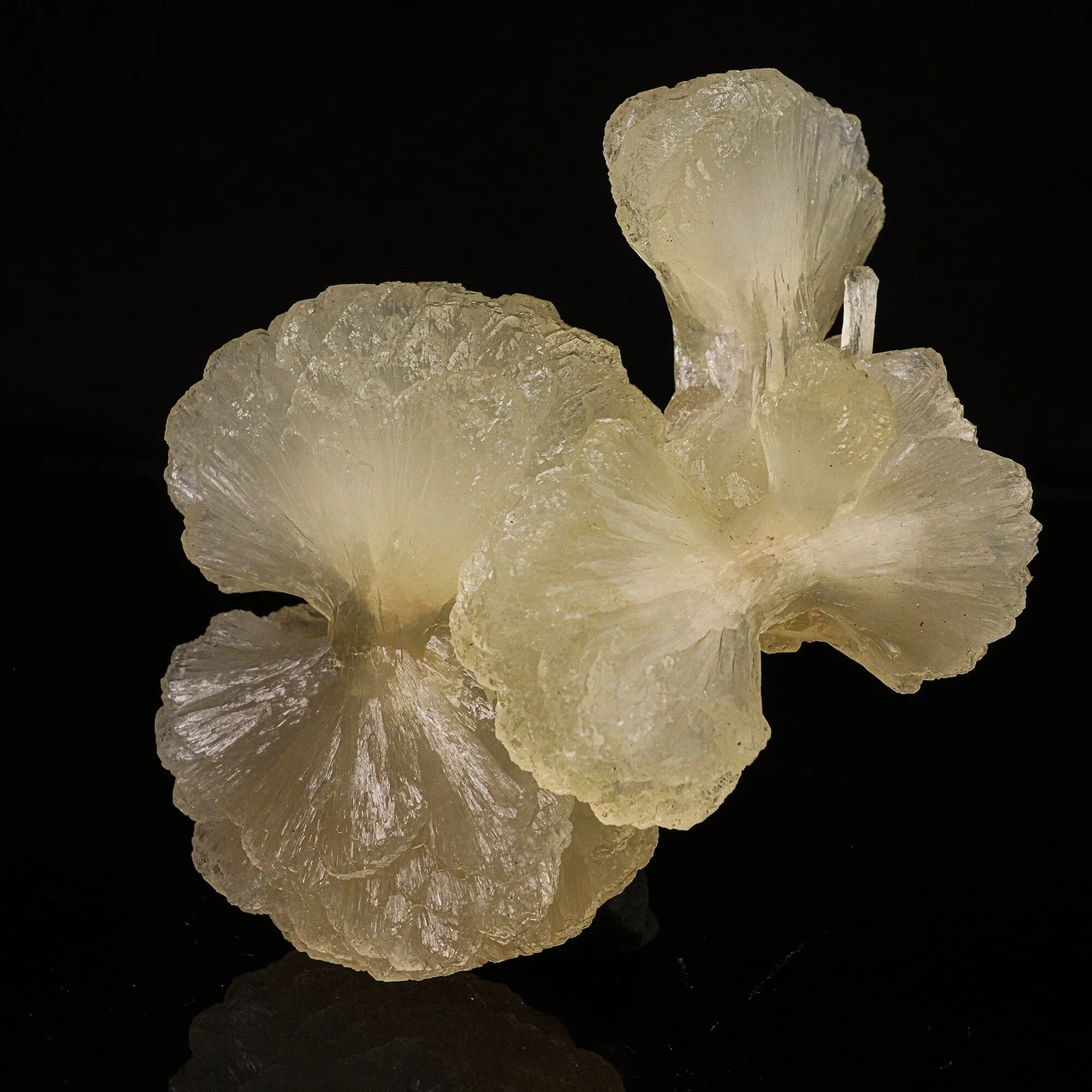 Stilbite Bow Natural Mineral Specimen - image 2
