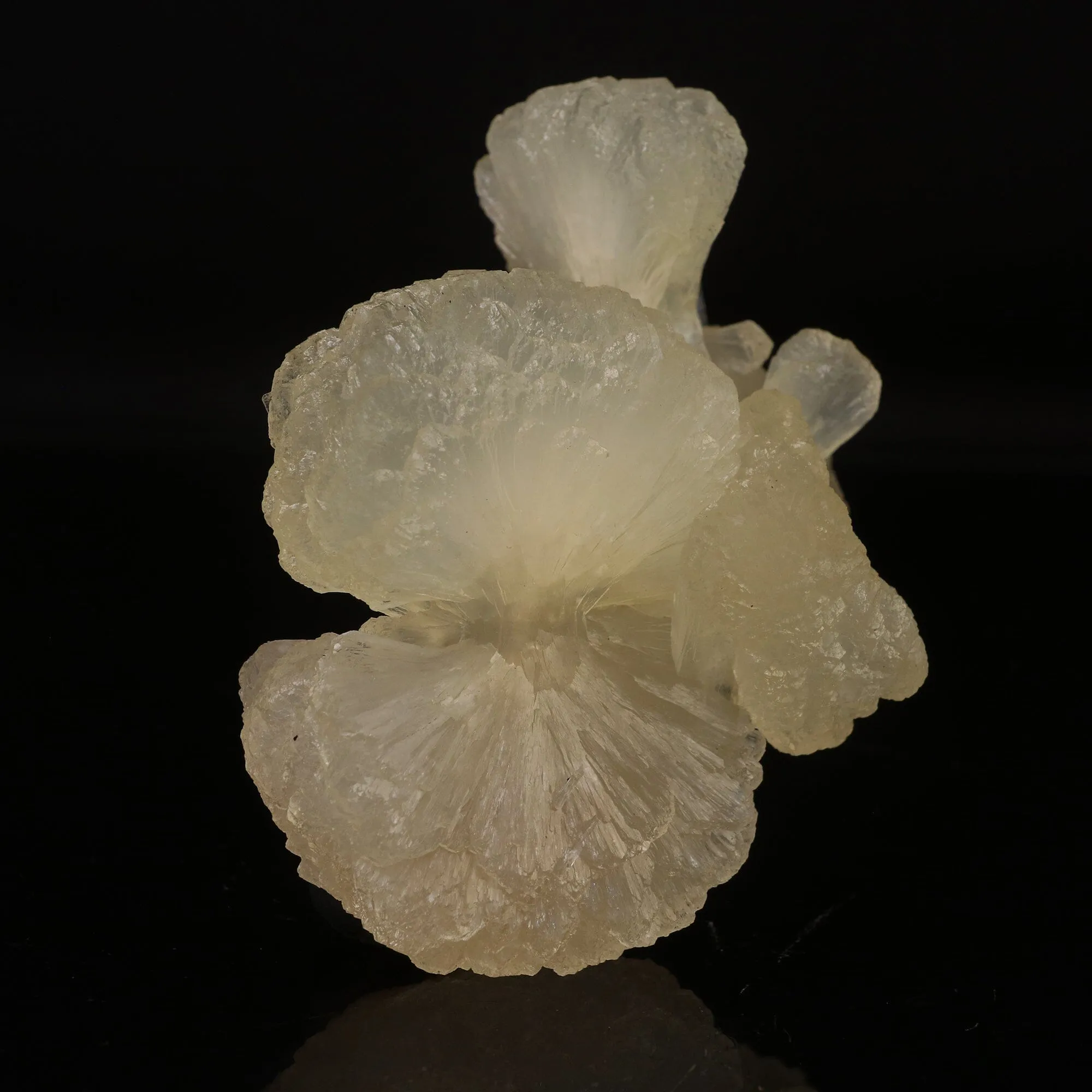 Stilbite Bow Natural Mineral Specimen - image 3