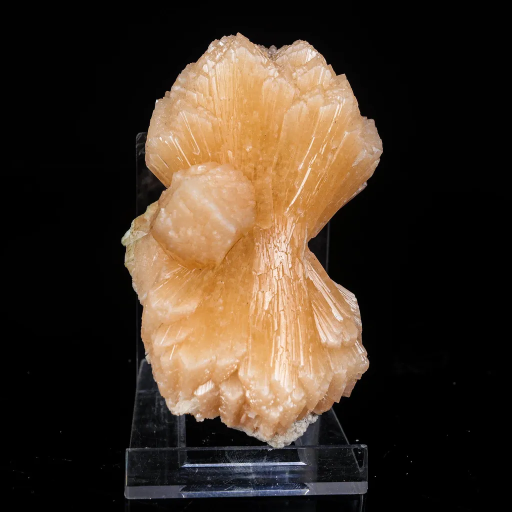 Stilbite Bow Natural Mineral Specimen image