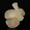 Stilbite Bow Natural Mineral Specimen - image 1