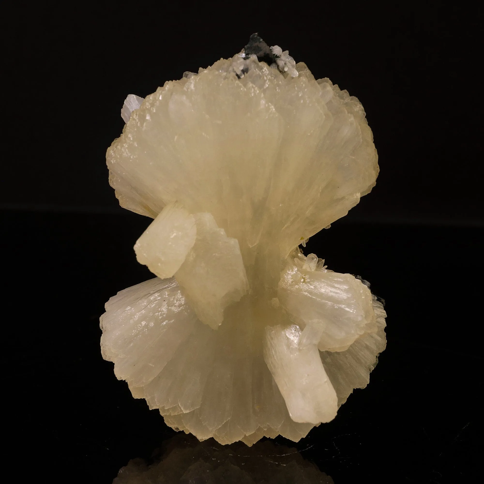Stilbite Bow Natural Mineral Specimen - image 1