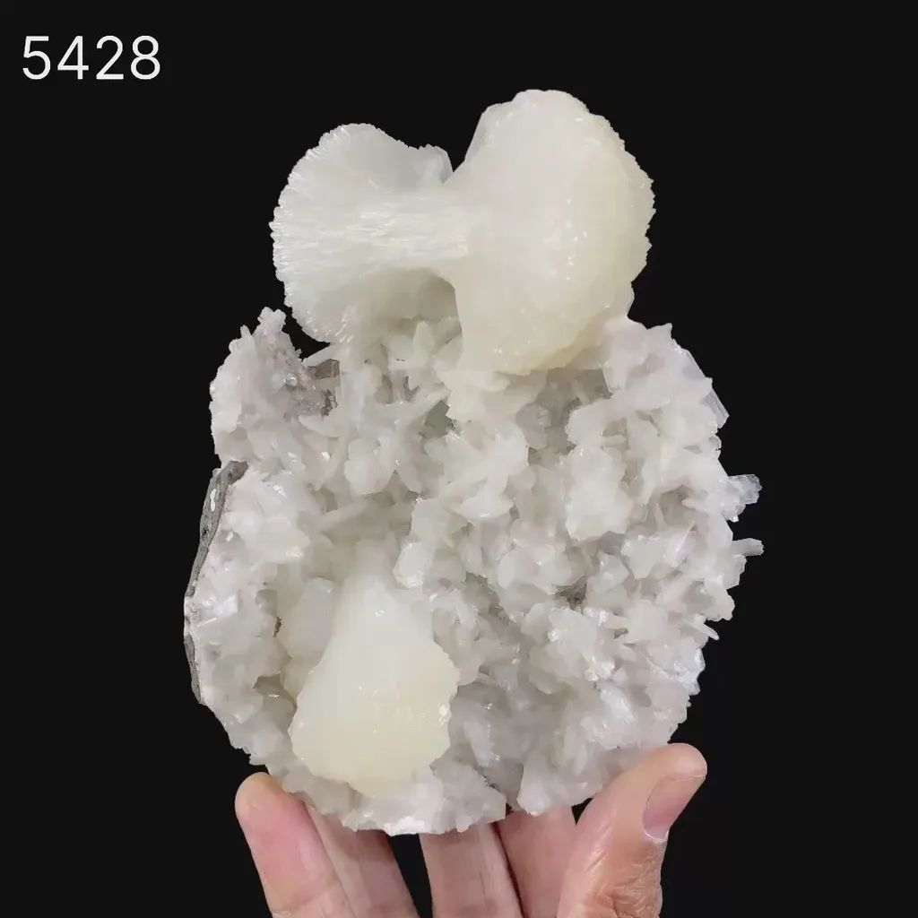 Stilbite bow shape formation Natural Mineral Specimen - image 6