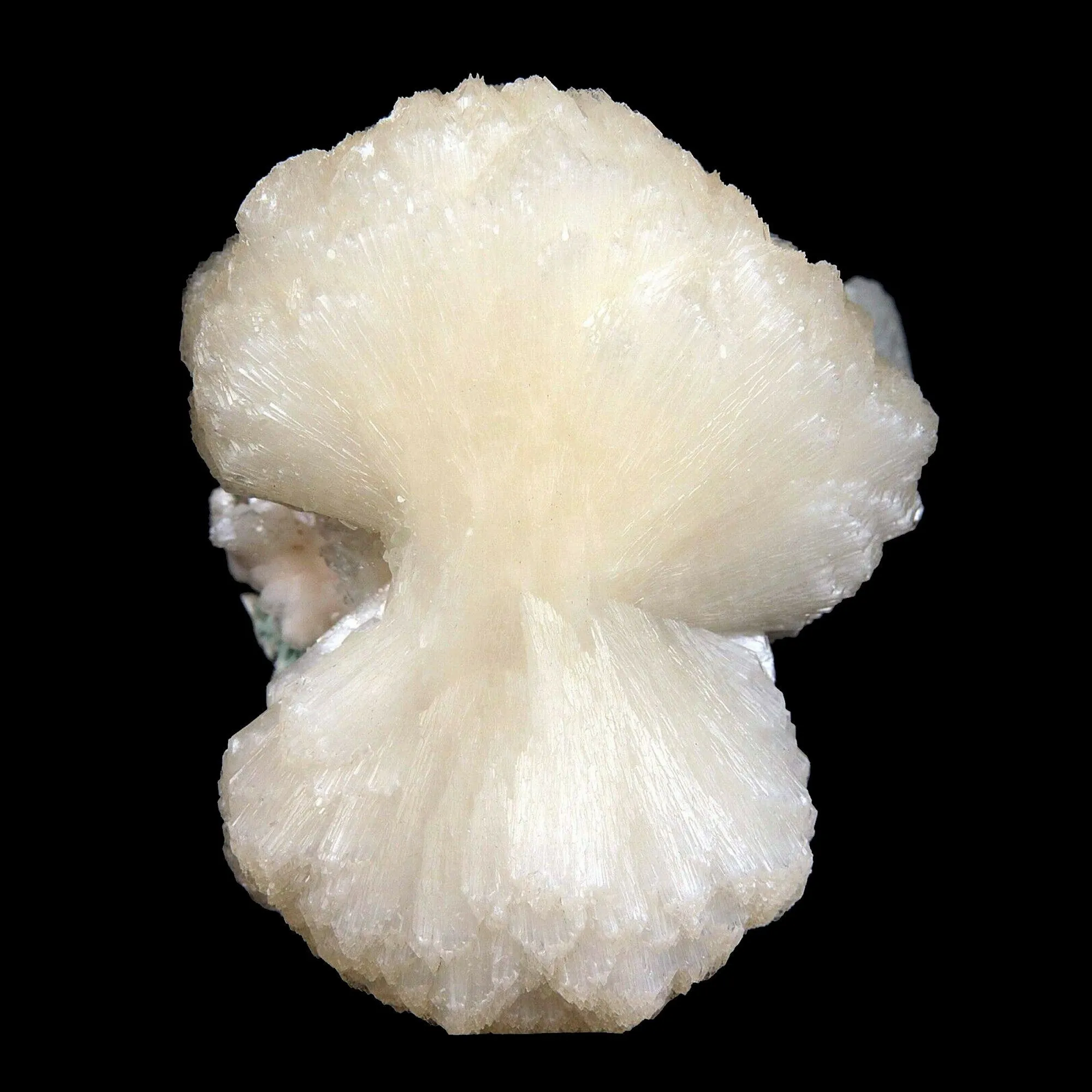 Stilbite bow shape formation Natural Mineral Specimen - image 2