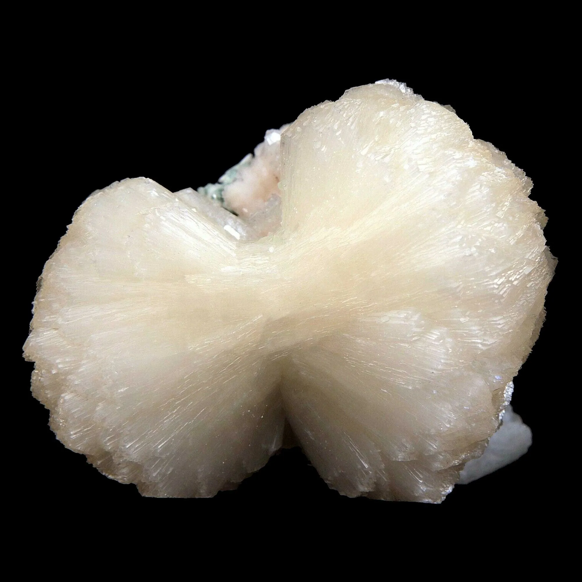 Stilbite bow shape formation Natural Mineral Specimen - image 3