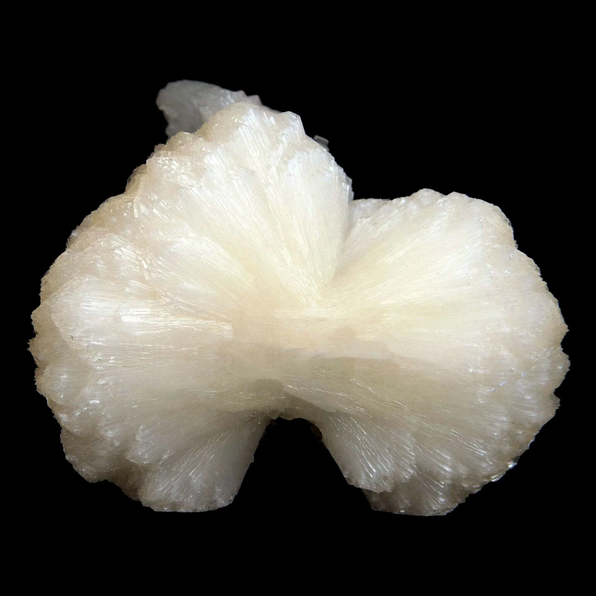 Stilbite bow shape formation Natural Mineral Specimen - image 1