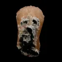 Stilbite Bow Shape Natural Mineral Specimen - image 4