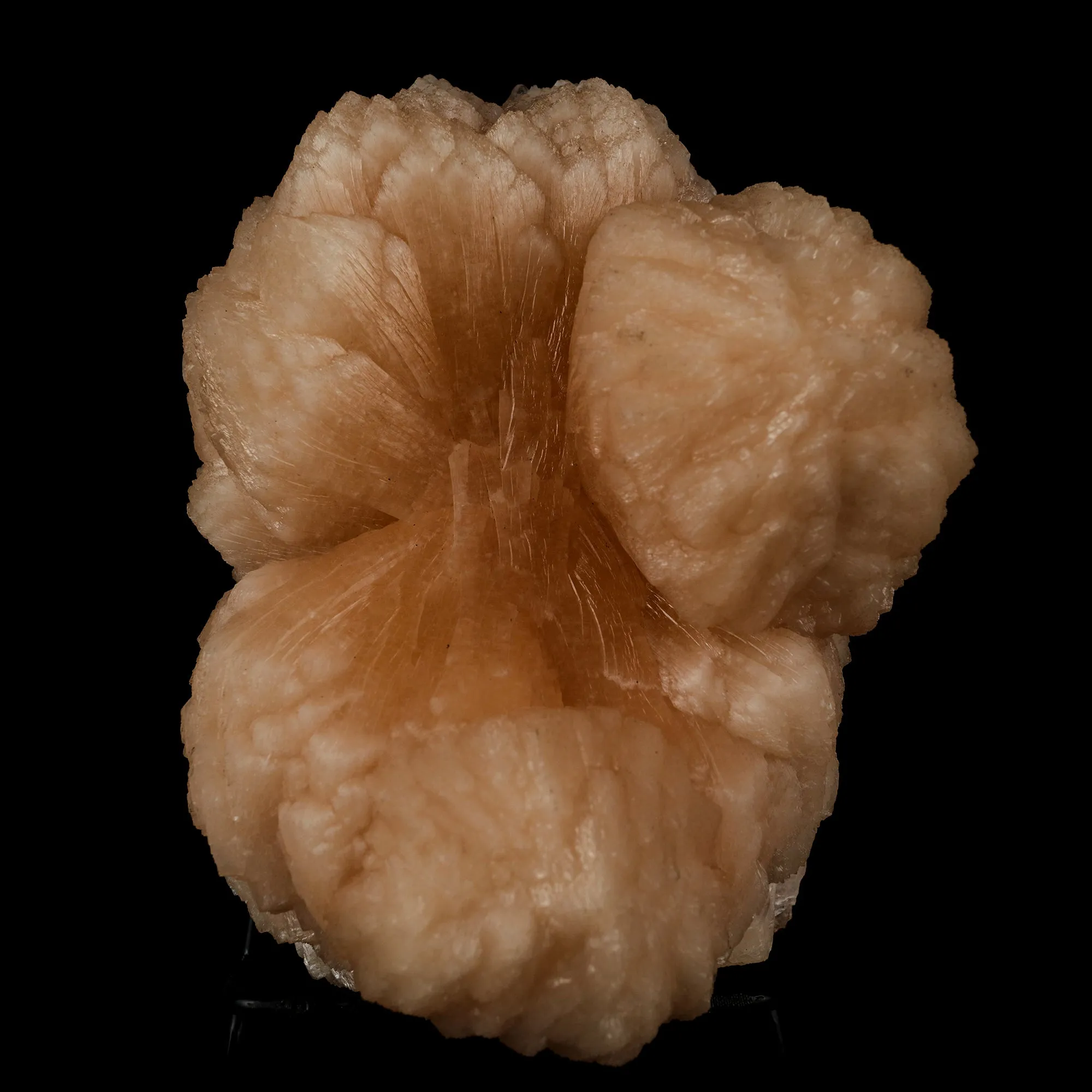 Stilbite Bow Shape Natural Mineral Specimen - image 1
