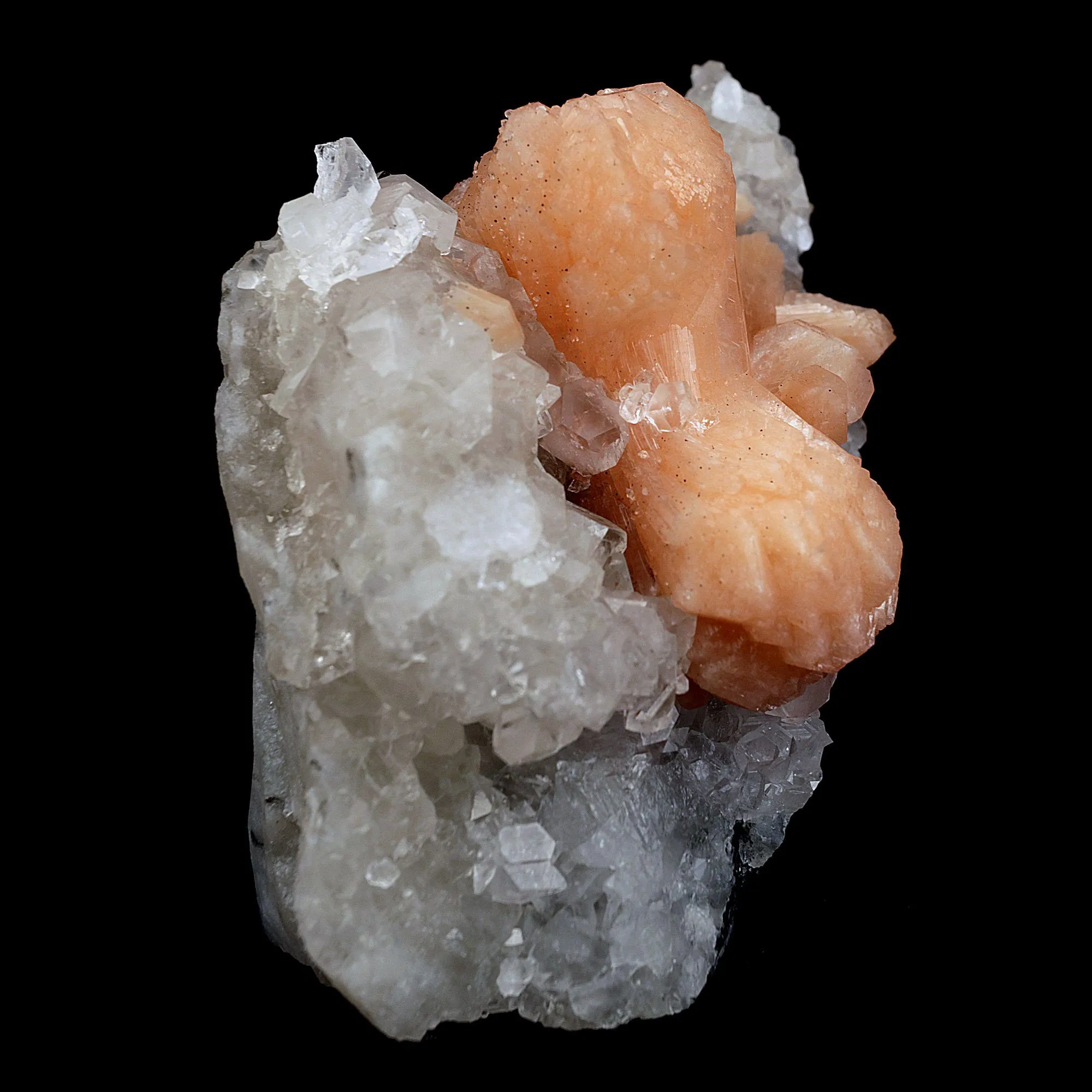 Stilbite Bow Shape on Gemmy Apophyllite Natural Mineral Specimen - image 5