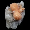 Stilbite Bow Shape on Gemmy Apophyllite Natural Mineral Specimen - image 1