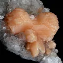 Stilbite Bow Shape on Gemmy Apophyllite Natural Mineral Specimen - image 2