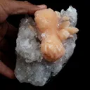 Stilbite Bow Shape on Gemmy Apophyllite Natural Mineral Specimen - image 3