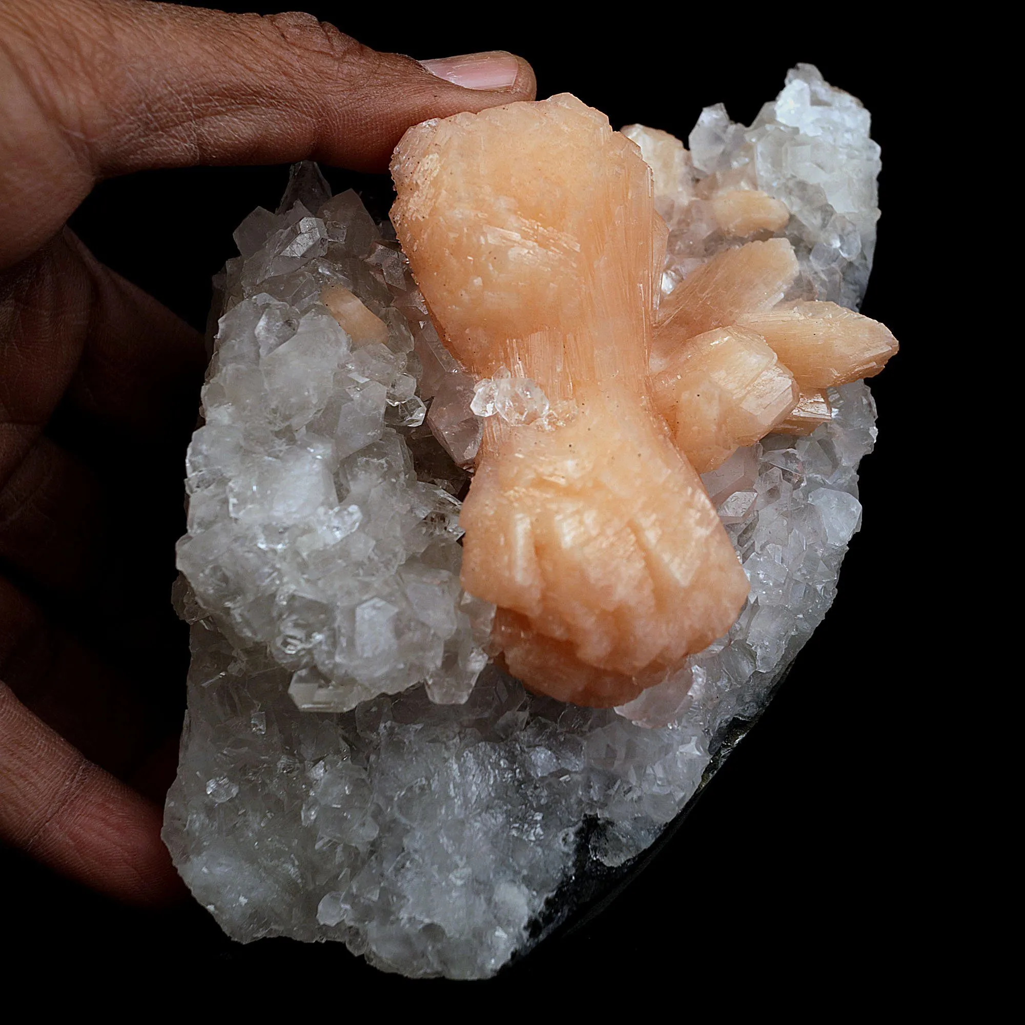 Stilbite Bow Shape on Gemmy Apophyllite Natural Mineral Specimen - image 3