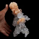 Stilbite Bow Shape on Gemmy Terminated Apophyllite Natural Mineral Specimen (Repaired) - image 3