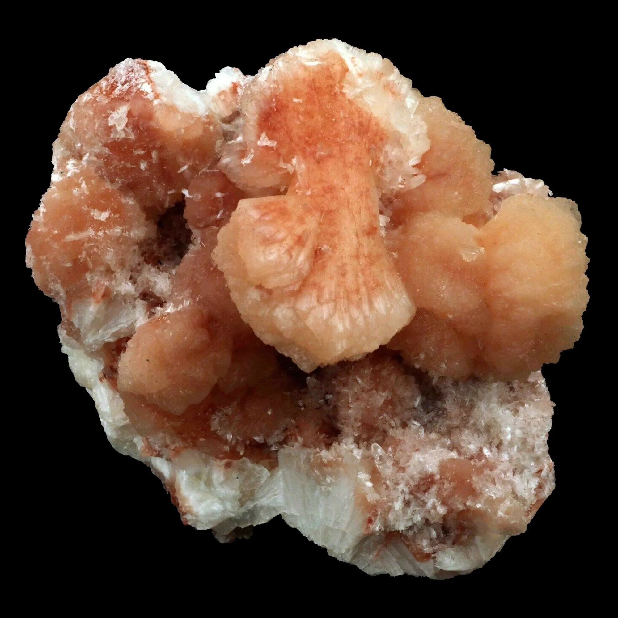 Stilbite Bow Shape Pink crystal Natural Mineral Specimen - image 1