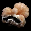 Stilbite Bow Shape Pink Stilbite Natural Mineral Specimen - image 4