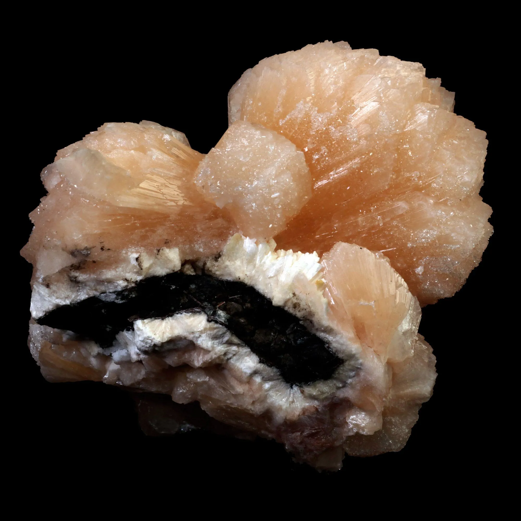 Stilbite Bow Shape Pink Stilbite Natural Mineral Specimen - image 4