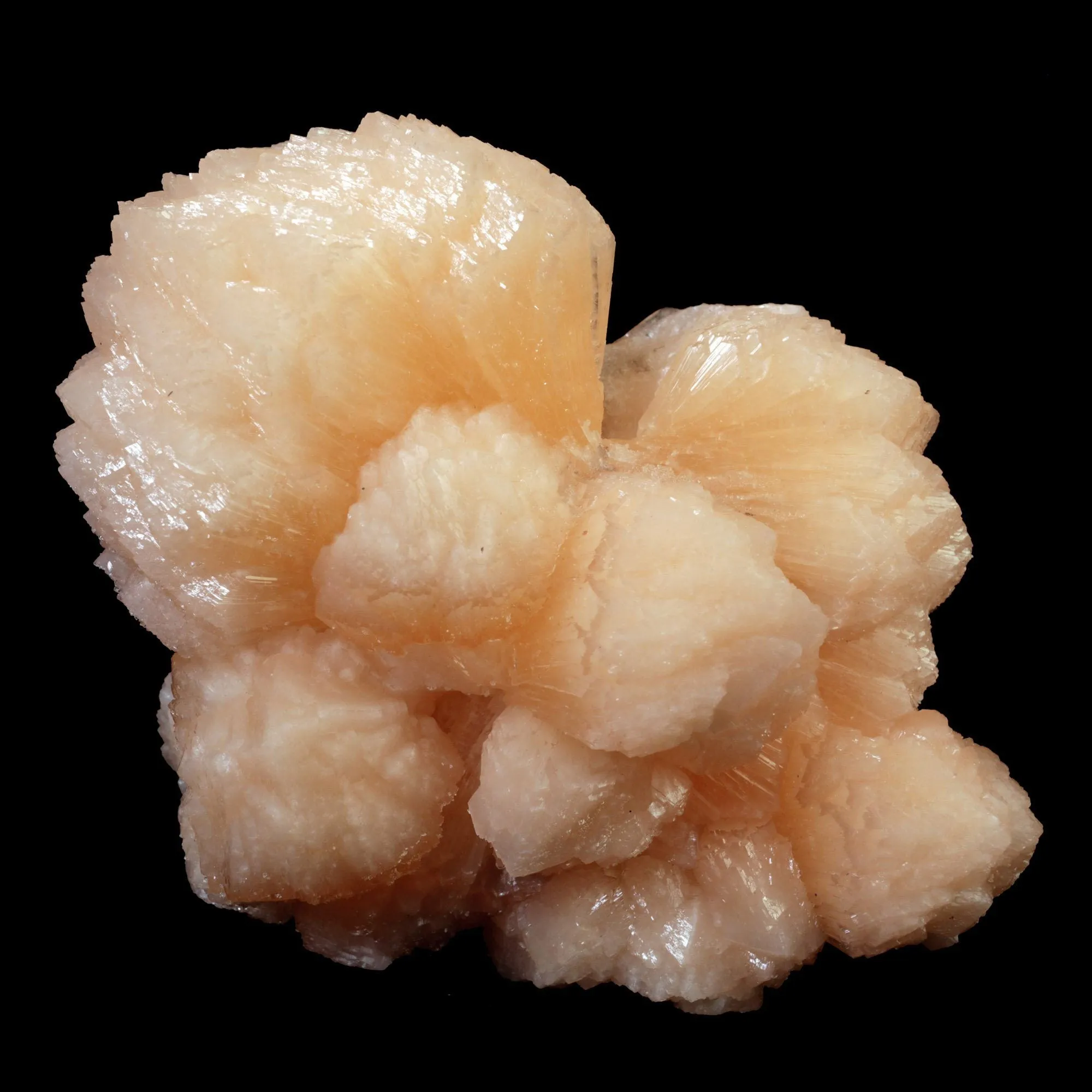 Stilbite Bow Shape Pink Stilbite Natural Mineral Specimen - image 1