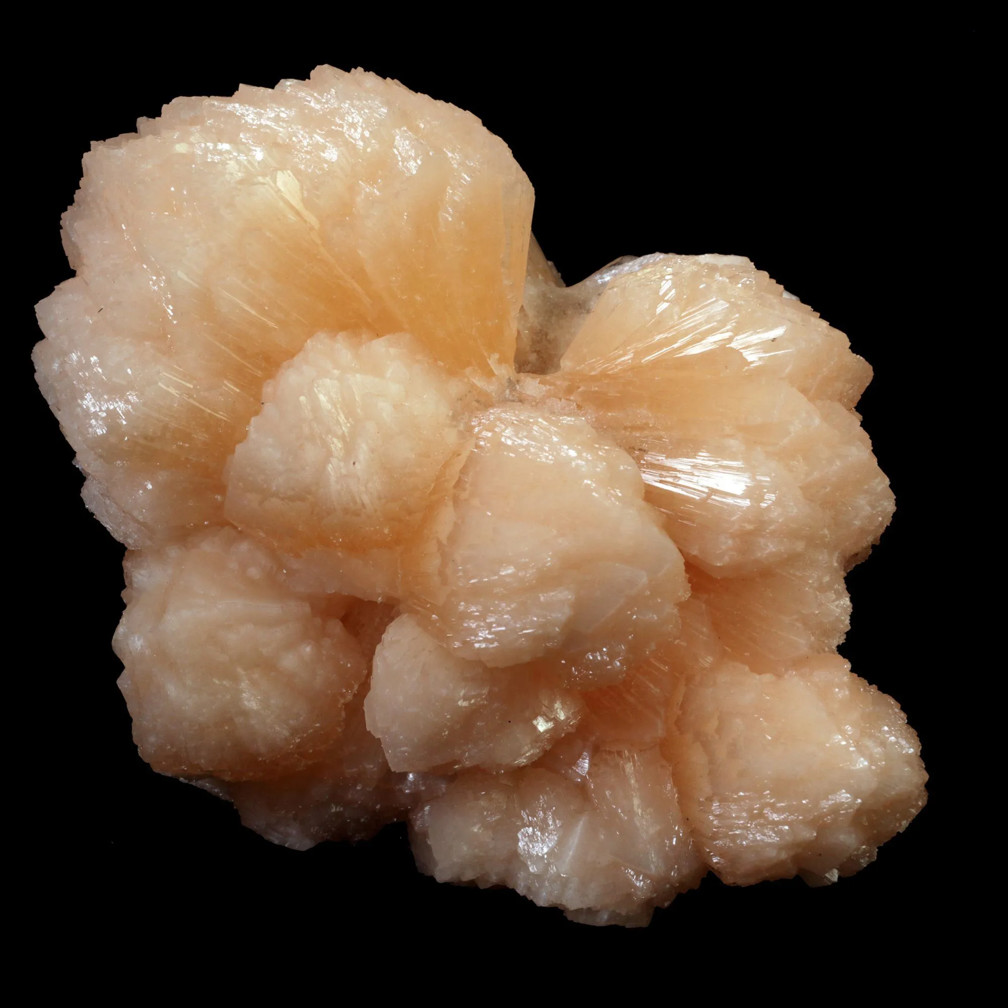 Stilbite Bow Shape Pink Stilbite Natural Mineral Specimen - image 3