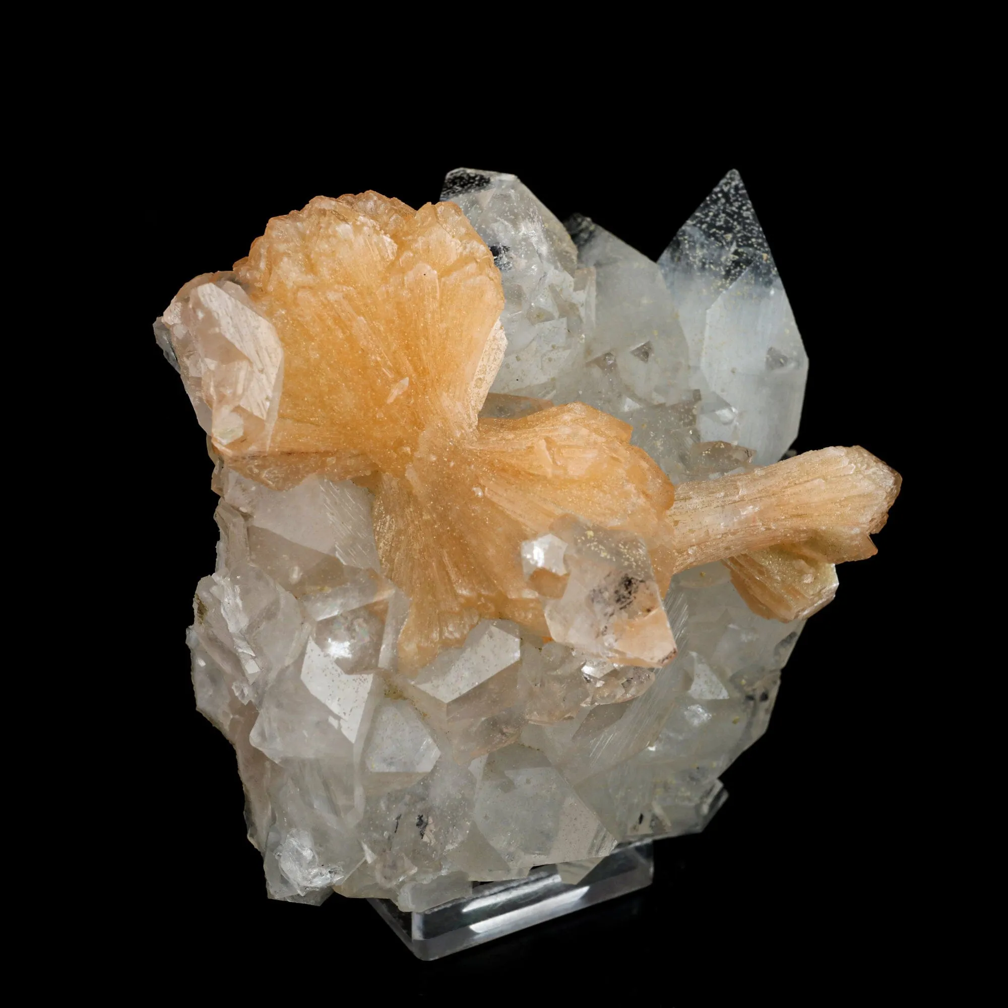 Stilbite 'Bow-Tie' on Apophyllite Natural Mineral Specimen - image 3