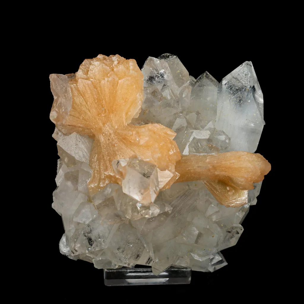 Stilbite 'Bow-Tie' on Apophyllite Natural Mineral Specimen image