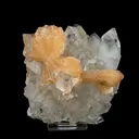 Stilbite 'Bow-Tie' on Apophyllite Natural Mineral Specimen - image 1