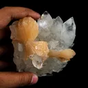 Stilbite 'Bow-Tie' on Apophyllite Natural Mineral Specimen - image 4
