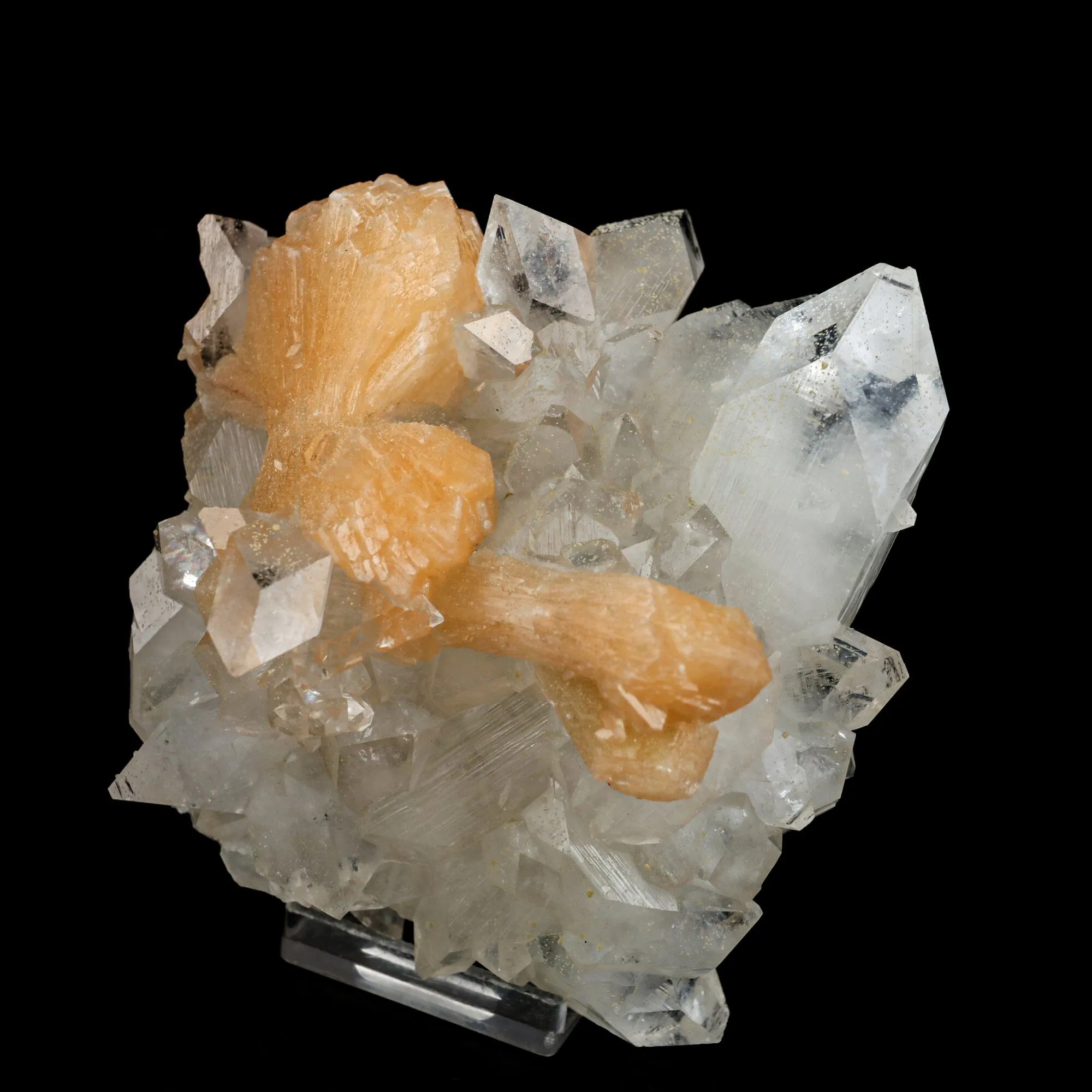 Stilbite 'Bow-Tie' on Apophyllite Natural Mineral Specimen - image 2