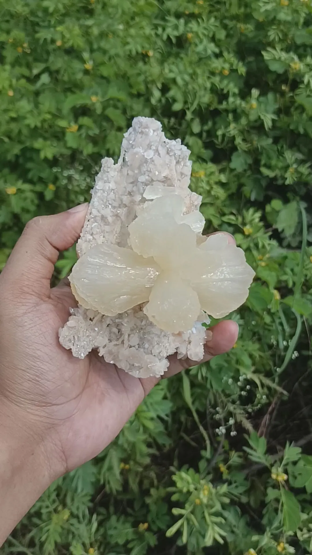 Stilbite 'Bow-Tie' on Heulandite Natural Mineral Specimen - image 5