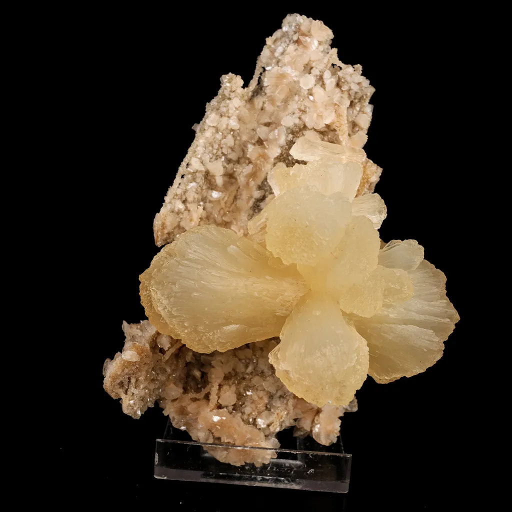 Stilbite 'Bow-Tie' on Heulandite Natural Mineral Specimen image