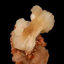 Stilbite 'Bow-Tie' on Heulandite Natural Mineral Specimen - image 6