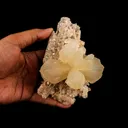 Stilbite 'Bow-Tie' on Heulandite Natural Mineral Specimen - image 3