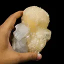 Stilbite bow with Apophyllite Natural Mineral Specimen - image 4