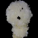 Stilbite cast after Okenite - image 10