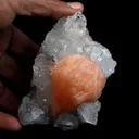 Stilbite Cluster on Gemmy Apophyllite With MM Quartz Natural Mineral Specimen - image 4