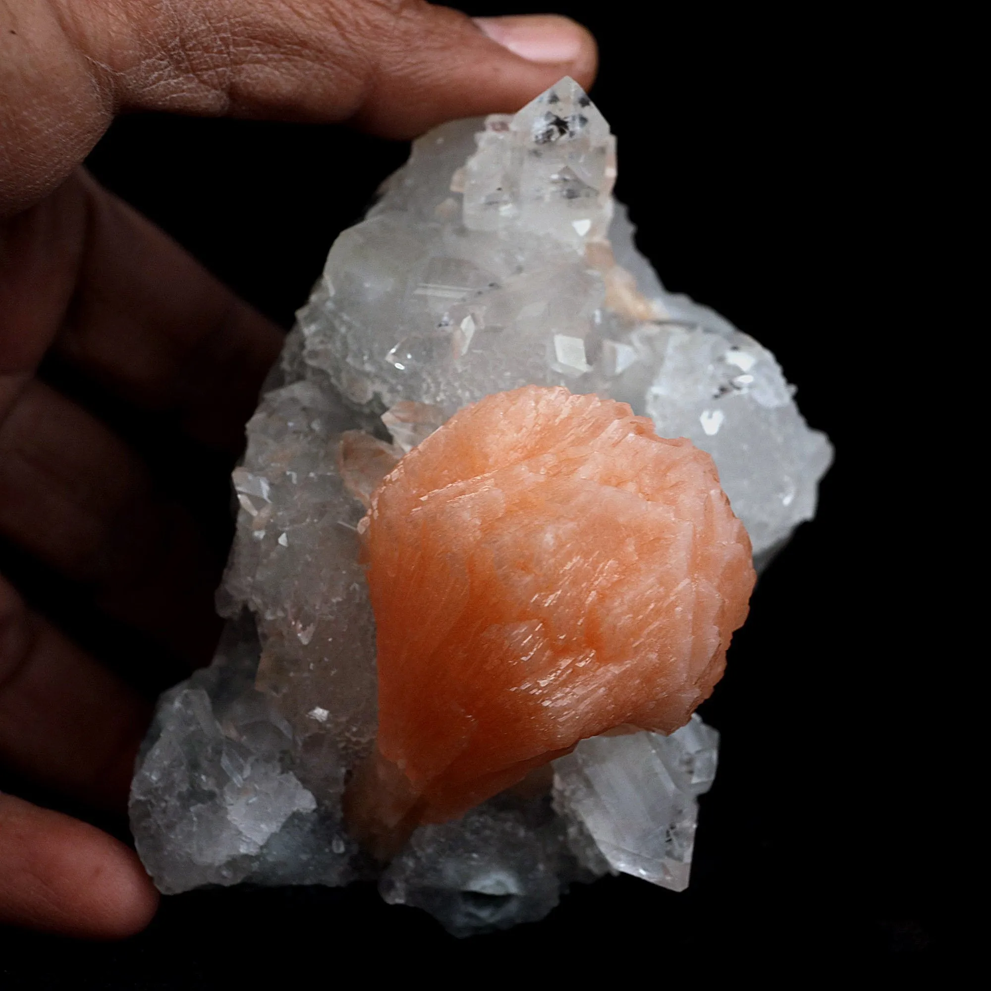 Stilbite Cluster on Gemmy Apophyllite With MM Quartz Natural Mineral Specimen - image 4
