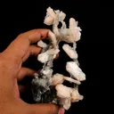 Stilbite Crystals on Chalcedony Coral Formation Natural Mineral Specimen - image 5