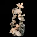 Stilbite Crystals on Chalcedony Coral Formation Natural Mineral Specimen - image 2