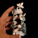 Stilbite Crystals on Chalcedony Coral Formation Natural Mineral Specimen - image 4