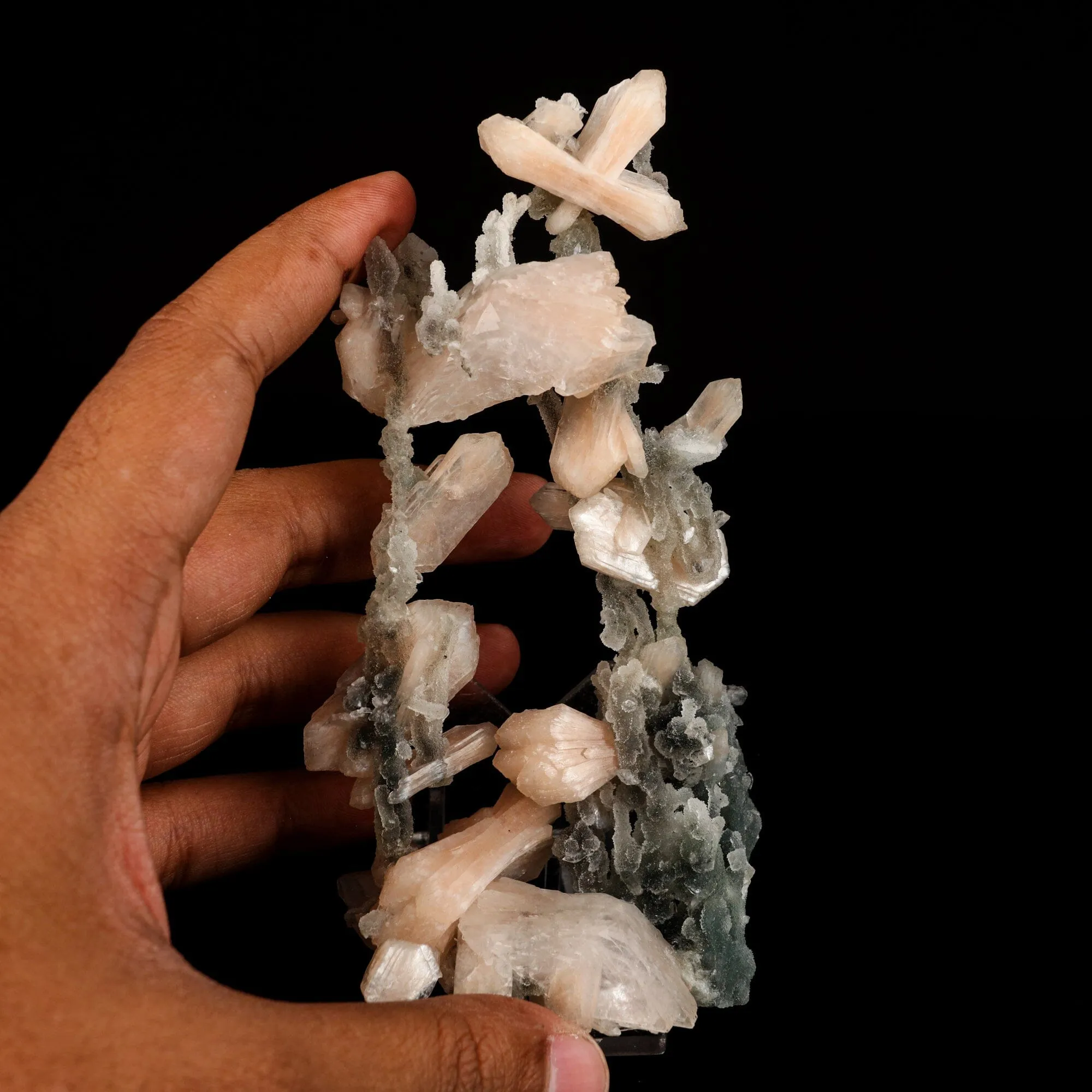 Stilbite Crystals on Chalcedony Coral Formation Natural Mineral Specimen - image 4