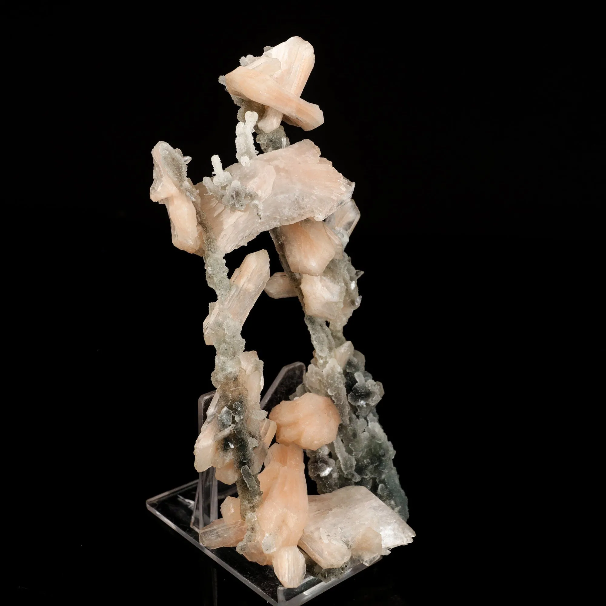 Stilbite Crystals on Chalcedony Coral Formation Natural Mineral Specimen - image 3