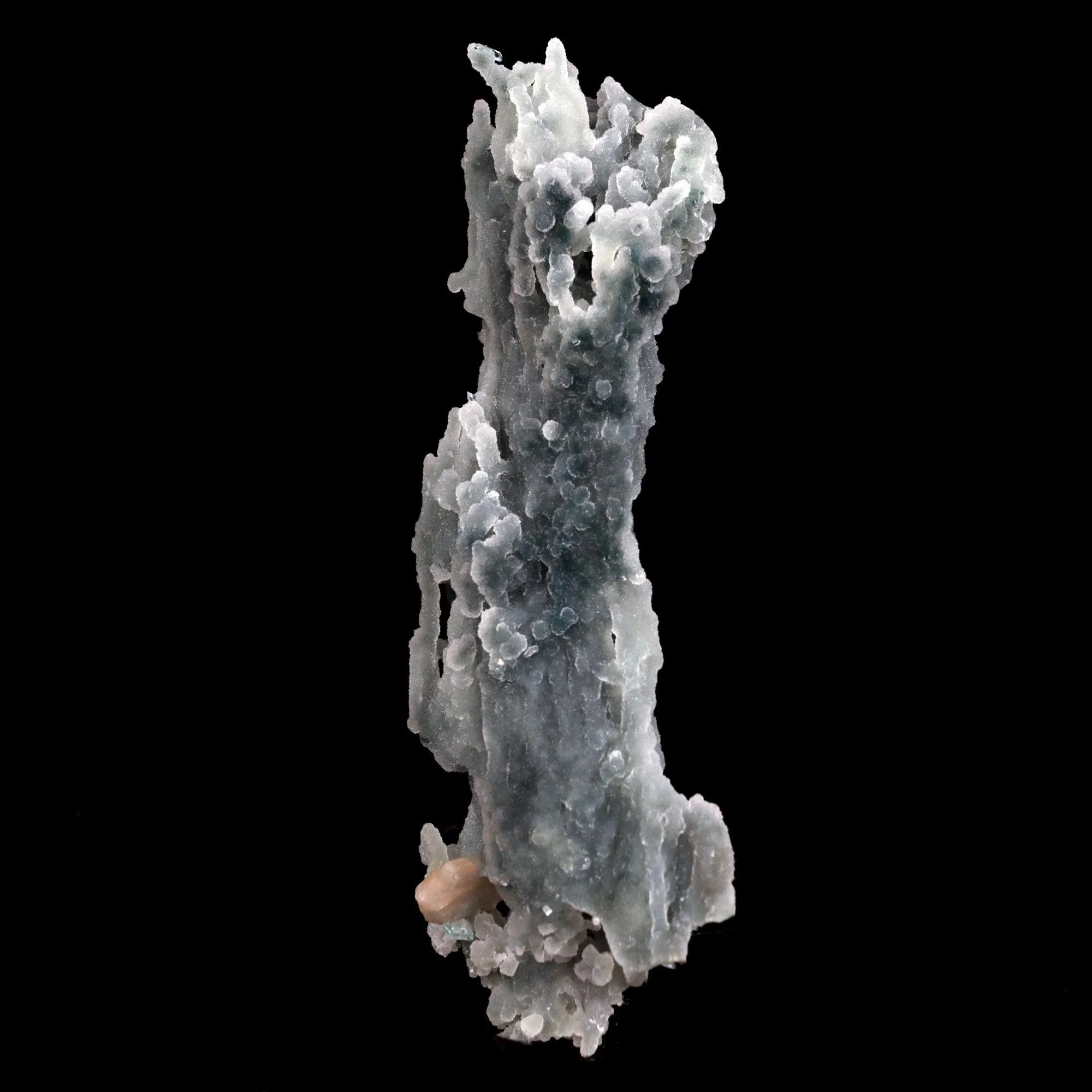 Stilbite Crystals on Chalcedony Coral Natural Mineral Specimen - image 3