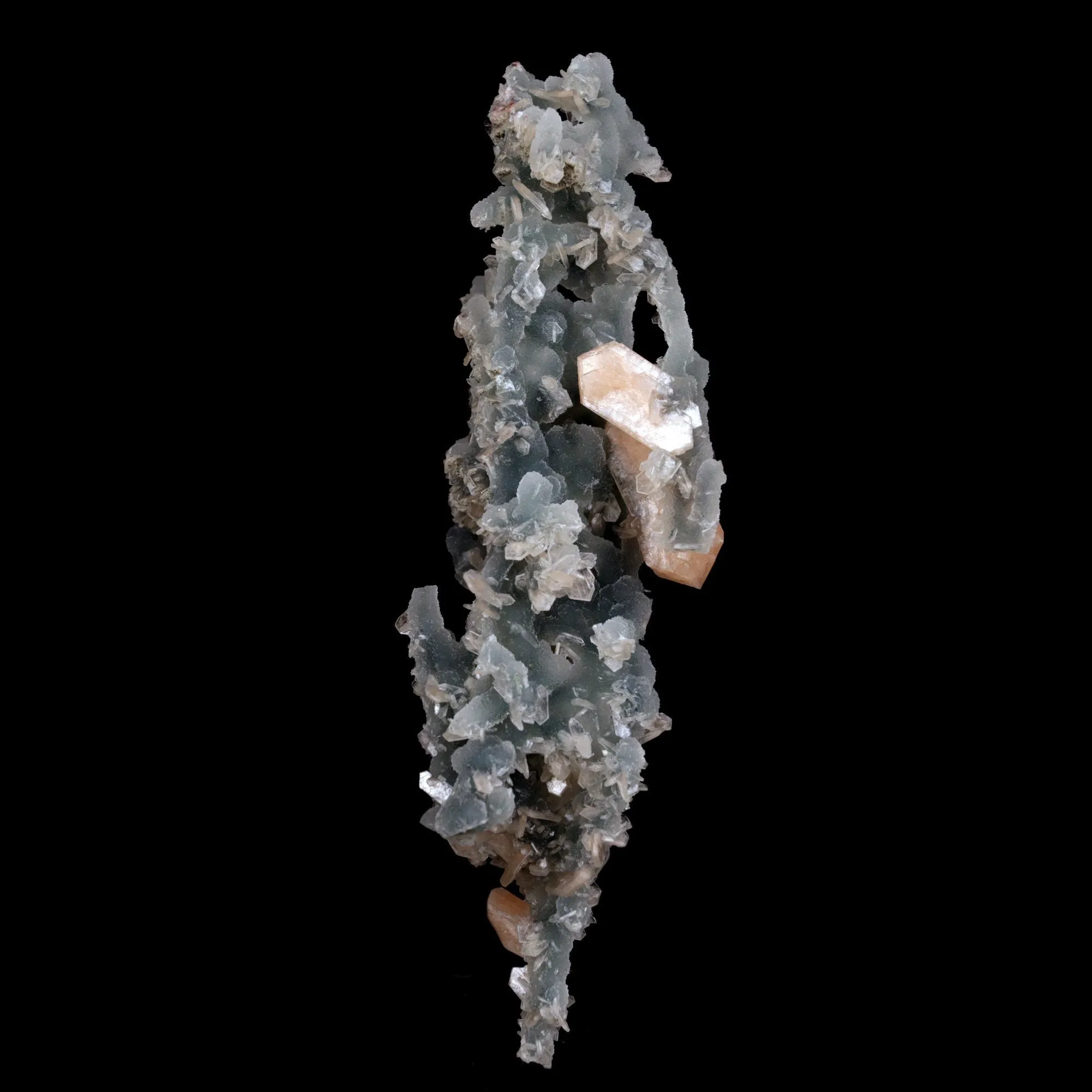 Stilbite Crystals on Chalcedony Sea Coral Natural Mineral Specimen - image 5