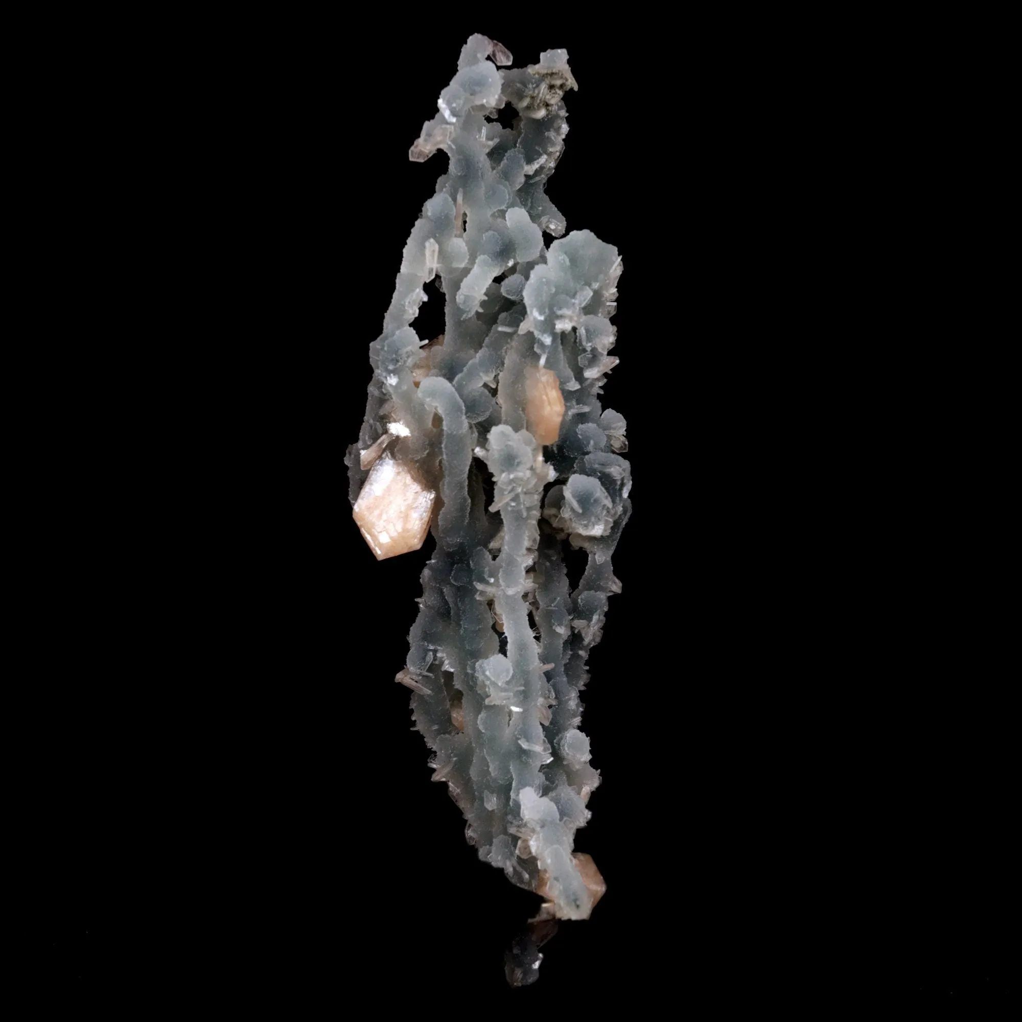 Stilbite Crystals on Chalcedony Sea Coral Natural Mineral Specimen - image 2