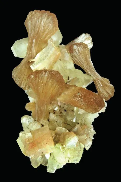 Stilbite, Heulandite, Datolite image