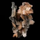 Stilbite on Chalcedony Coral Formation Natural Mineral Specimen - image 3