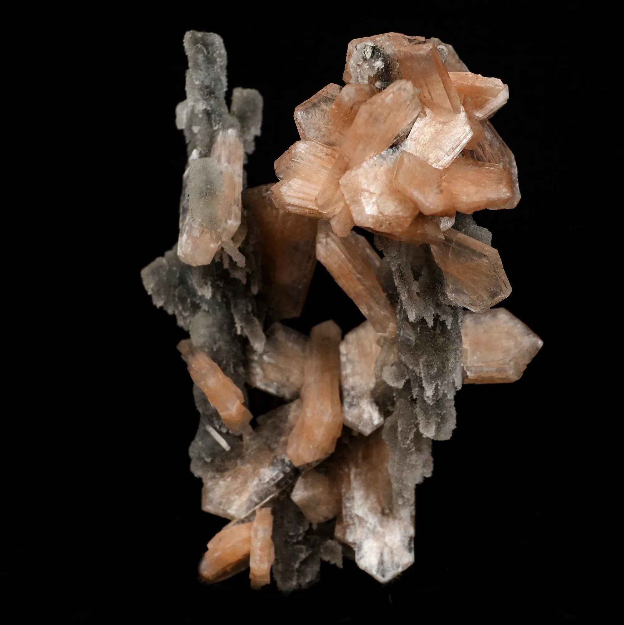 Stilbite on Chalcedony Coral Formation Natural Mineral Specimen - image 3