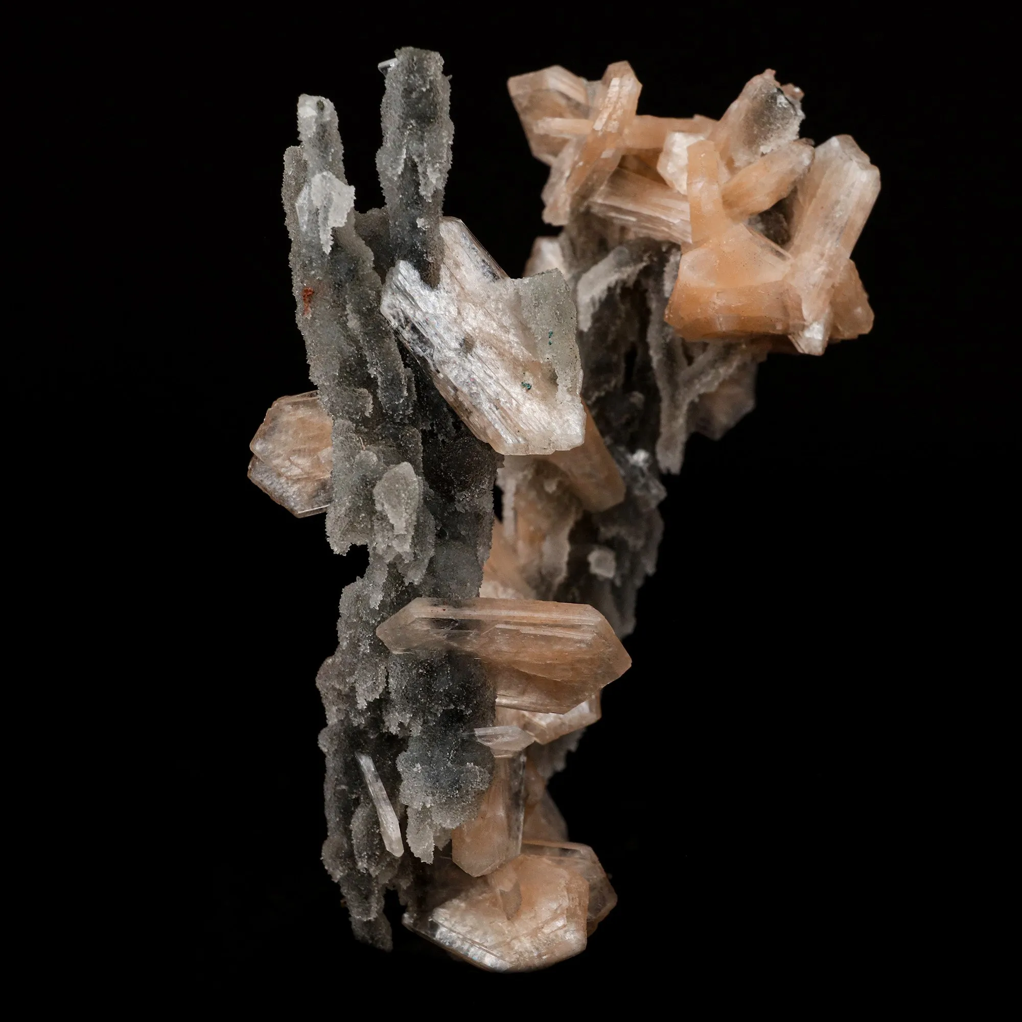 Stilbite on Chalcedony Coral Formation Natural Mineral Specimen - image 2