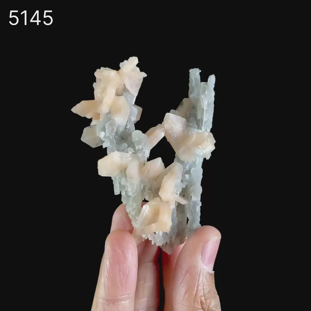 Stilbite on Chalcedony Coral Formation Natural Mineral Specimen - image 6