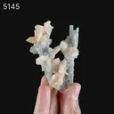 Stilbite on Chalcedony Coral Formation Natural Mineral Specimen - image 6